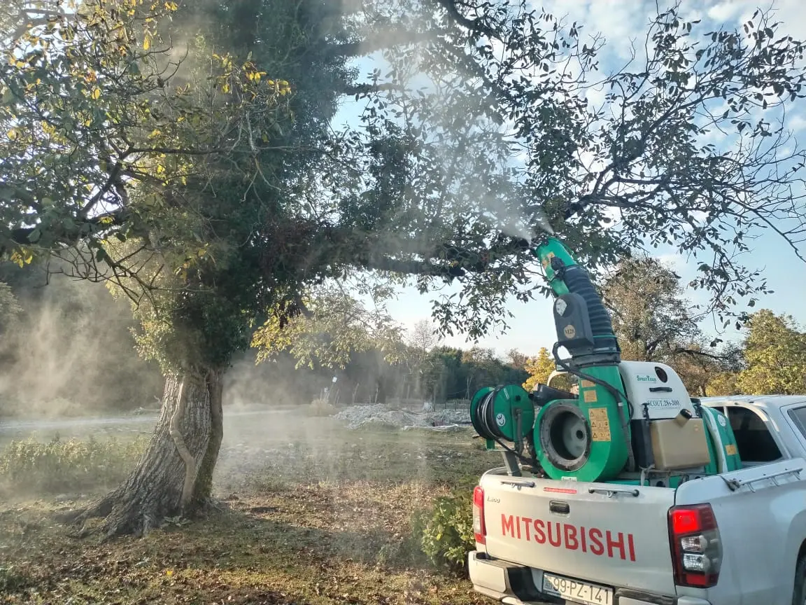 Qəhvəyi mərmər bağacığına (Halymorpha halys)  qarşı mübarizə tədbirləri davam etdirilir