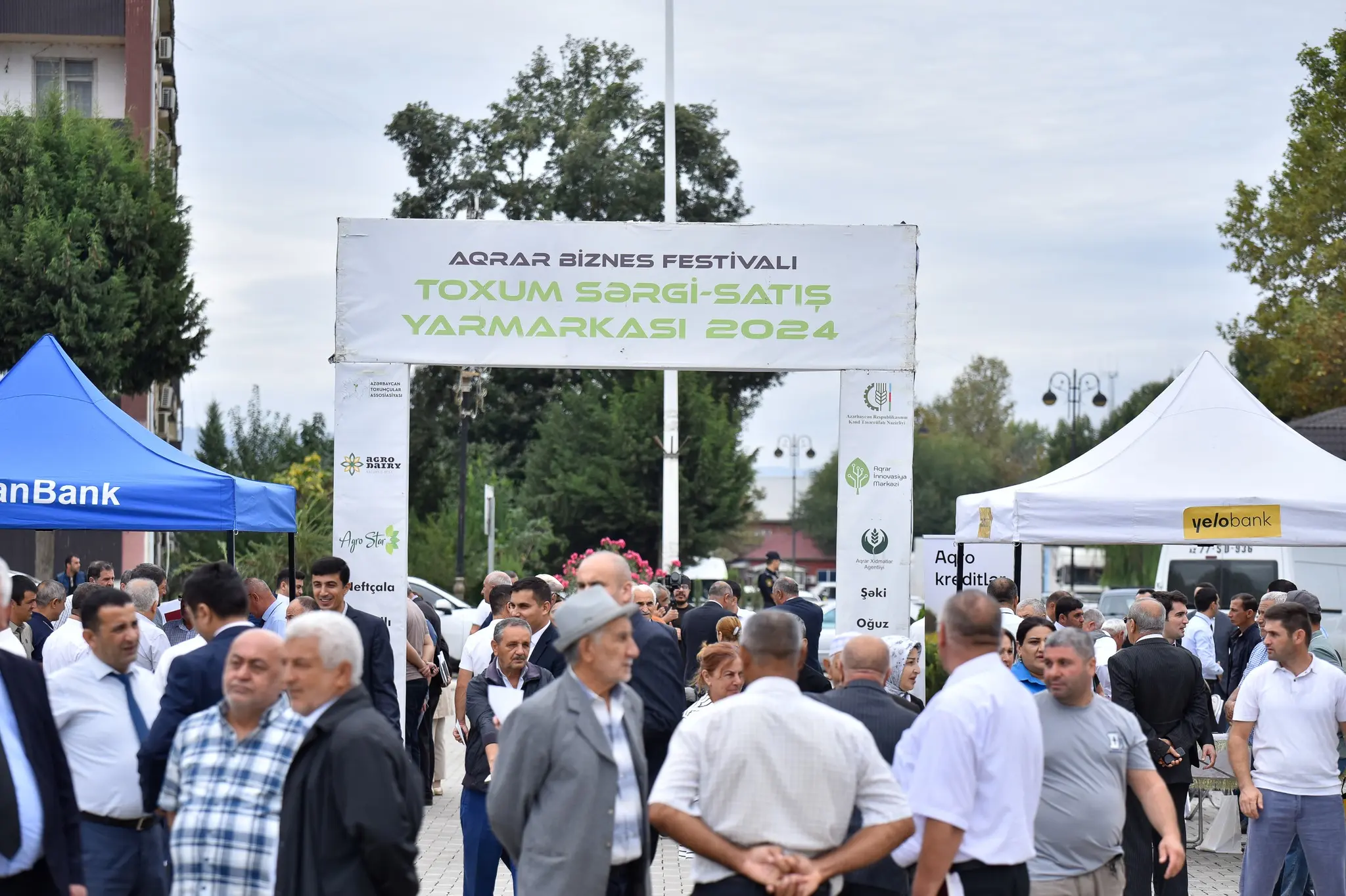 Masallı və Neftçalada növbəti toxum sərgi-satış yarmarkaları keçirilib