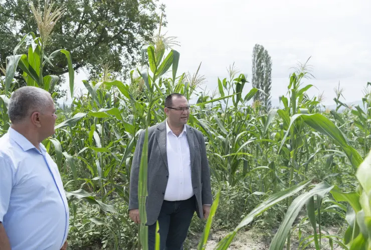 Nazir Məcnun Məmmədov Şəkidə nazirliyin regional bölmələrinin fəaliyyəti ilə tanış olub, təsərrüfatlara baş çəkib