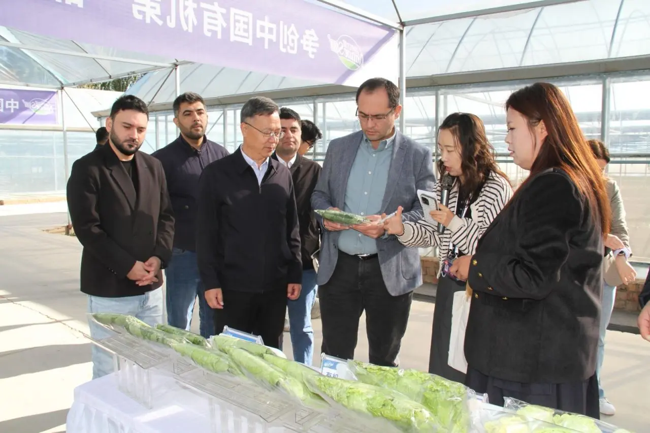 Çində orqanik istehsal və “ağıllı” istixana texnologiyaları öyrənilib
