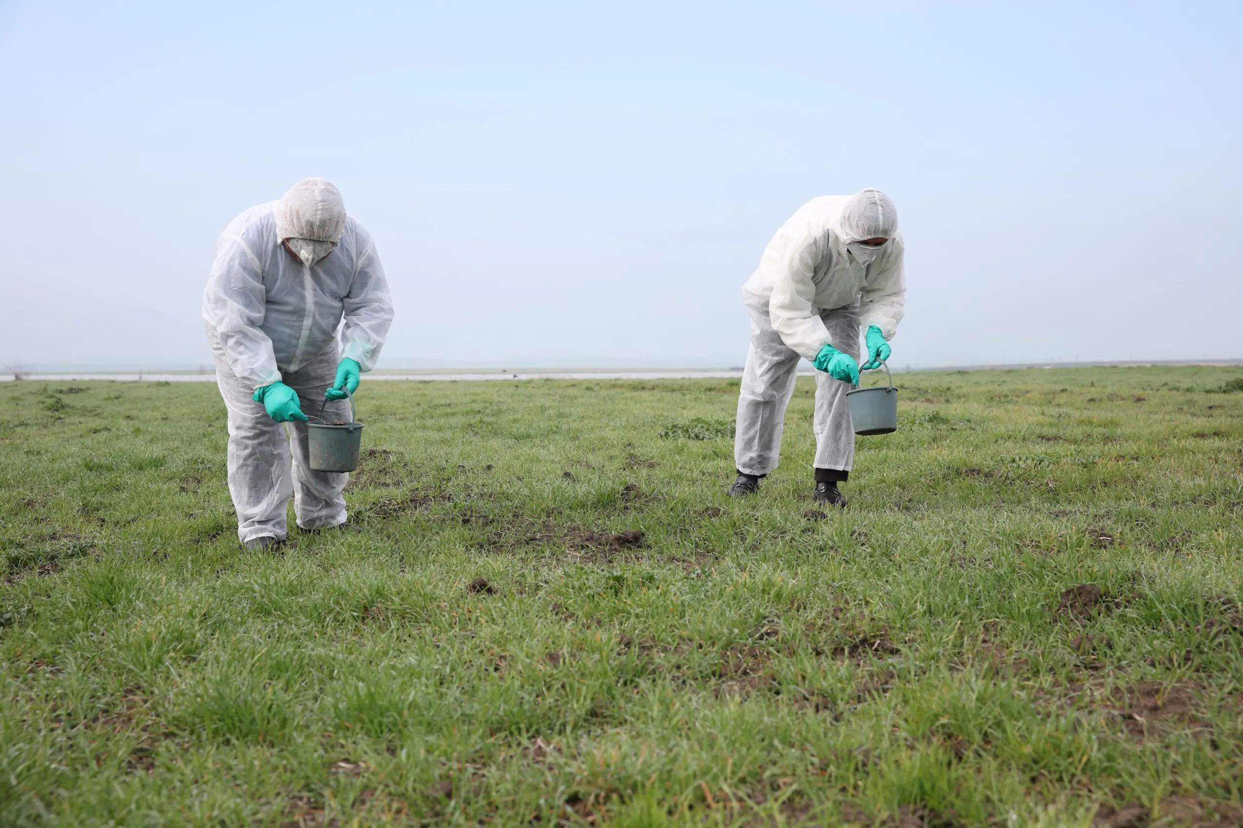52 min hektar sahədə siçanabənzər gəmiricilərə qarşı mübarizə tədbiri həyata keçirilib