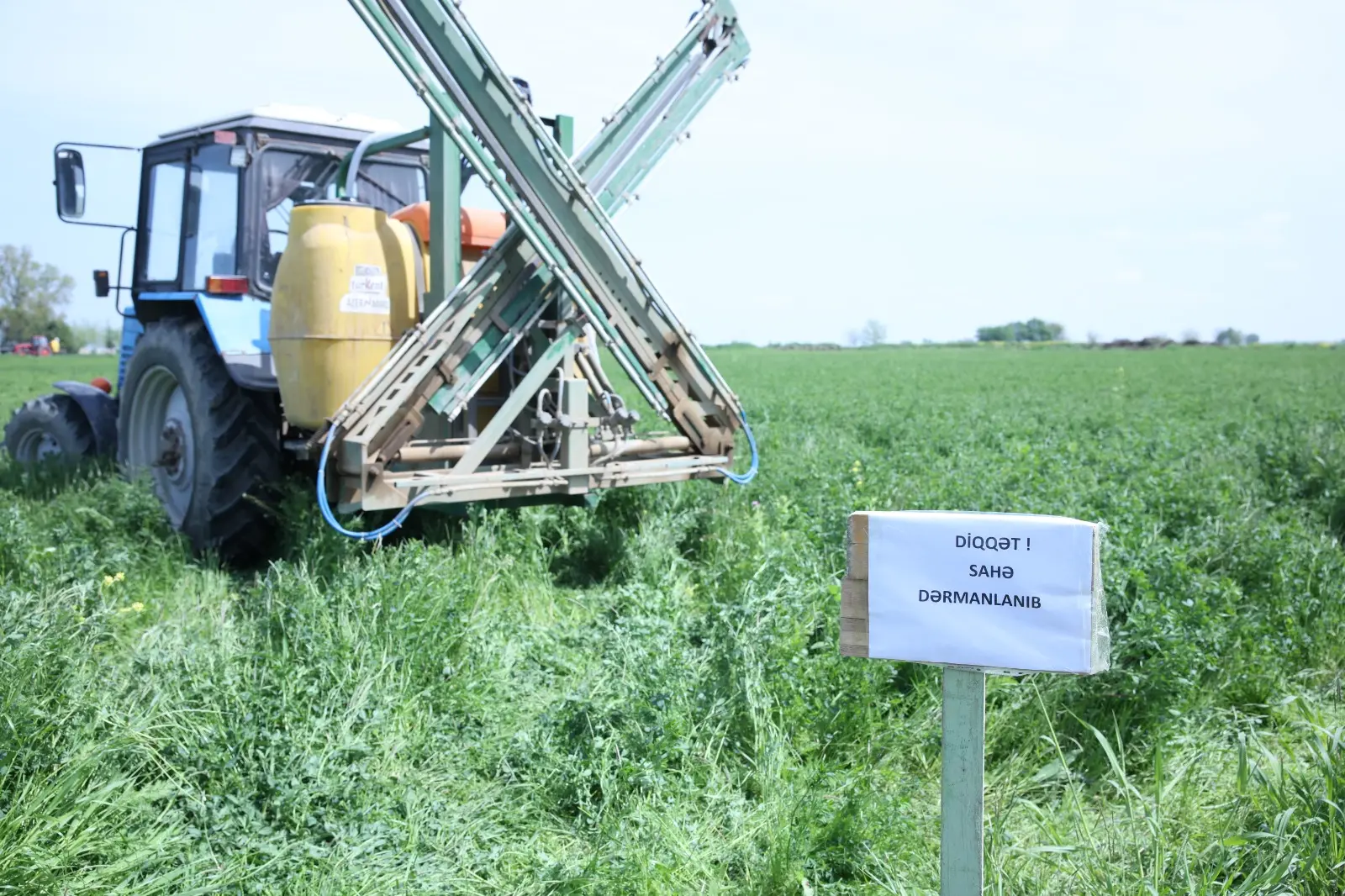 Yonca sahələrində fitonomusa qarşı fitosanitar mübarizə tədbirləri gücləndirilir