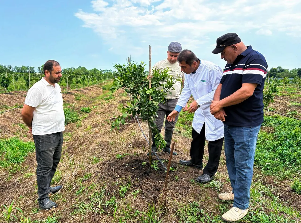 Aqrar Xidmətlər Agentliyi tərəfindən bölgələrdə maarifləndirici sahə görüşləri davam edir