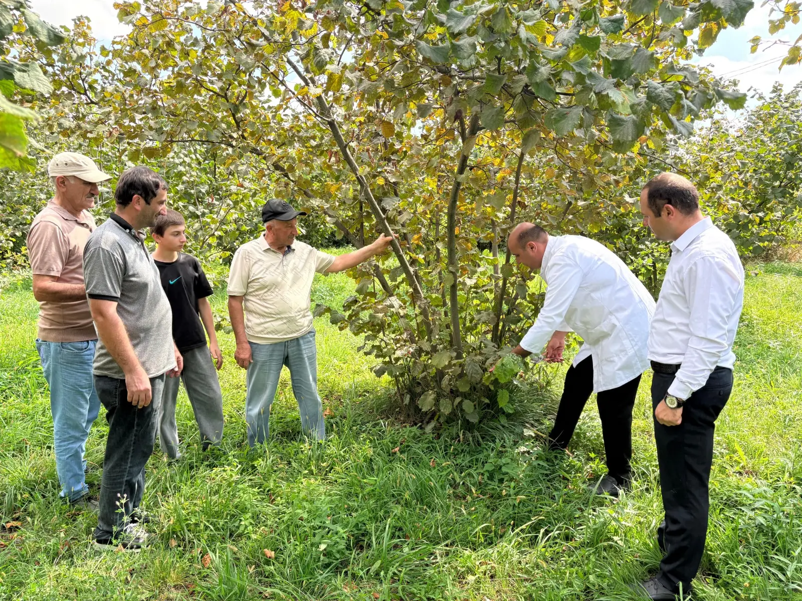 Aqrar Təlim Mərkəzinin mütəxəssisləri nümunəvi fındıq bağına səfər ediblər