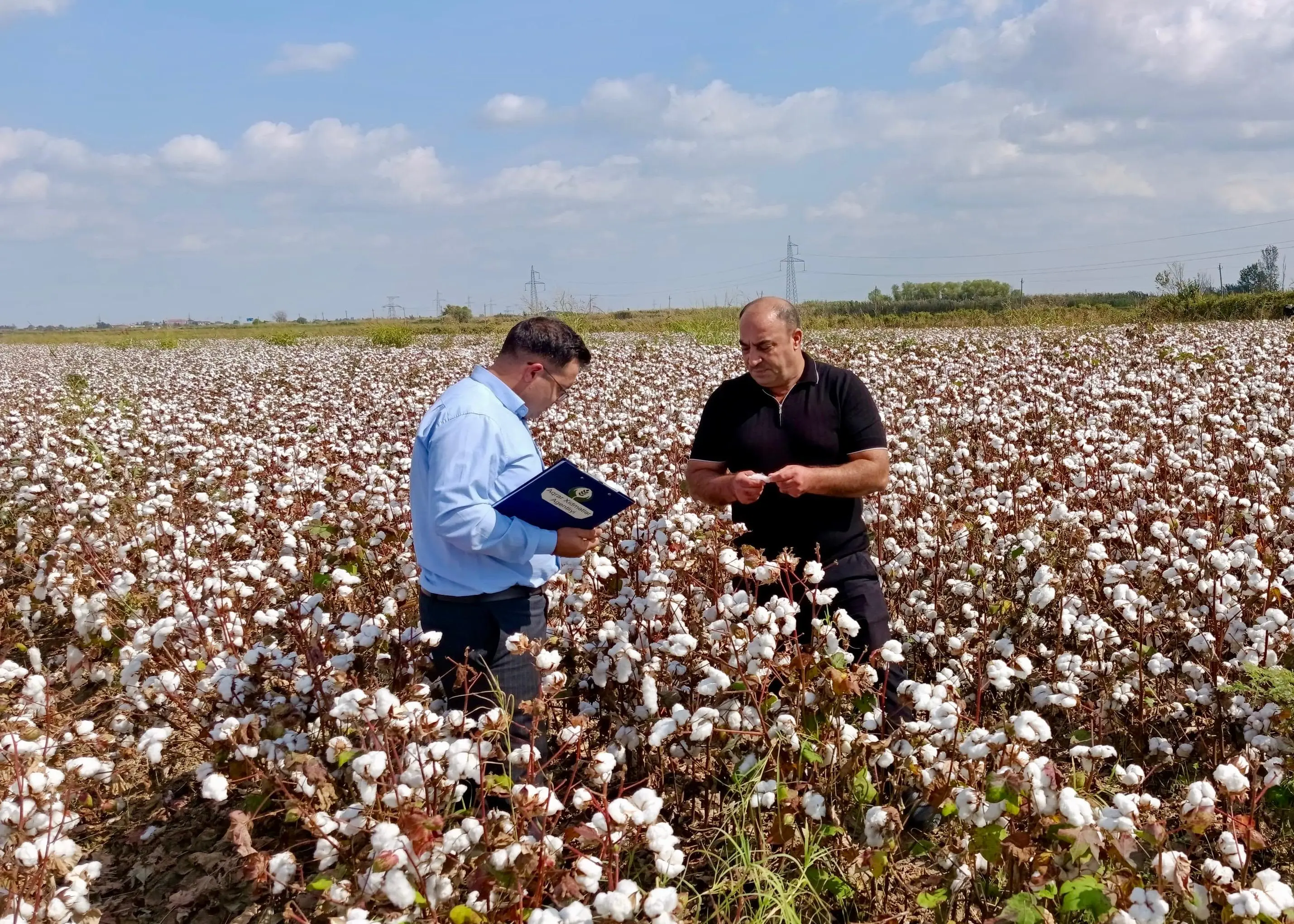 Aqrar sahədə maarifləndirici tədbirlər davam etdirilir